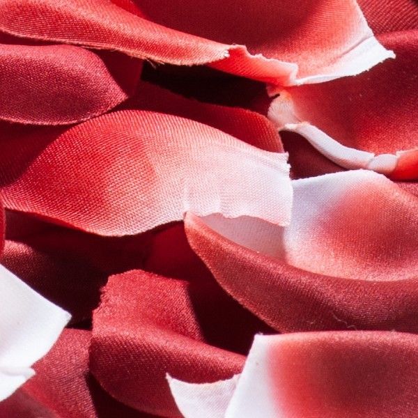Rose Petals Explosion BIJOUX Indiscrets