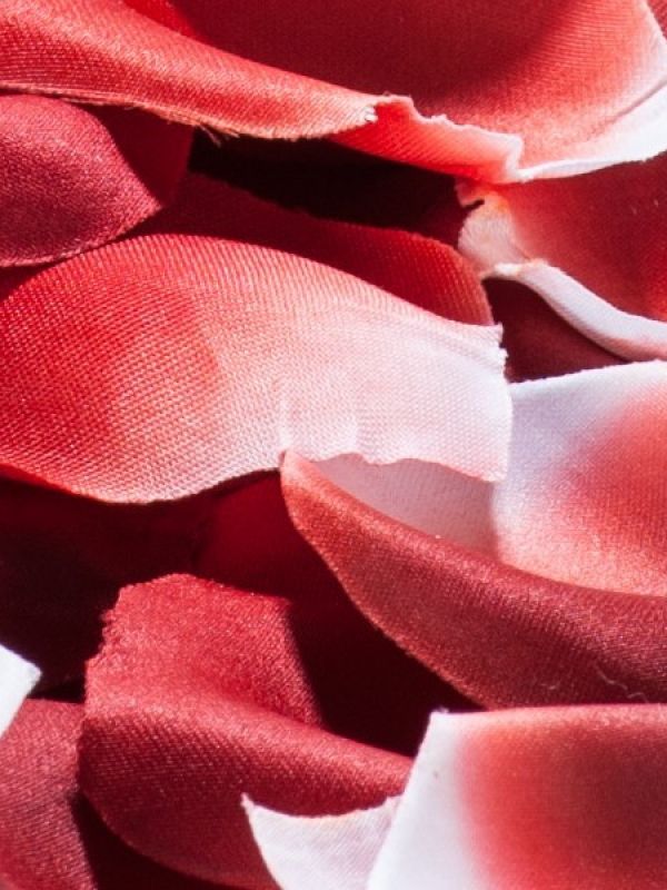Rose Petals Explosion BIJOUX Indiscrets