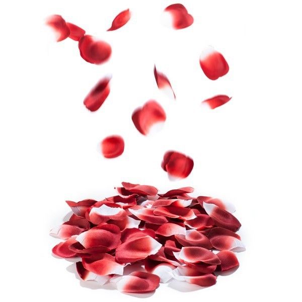 Rose Petals Explosion BIJOUX Indiscrets